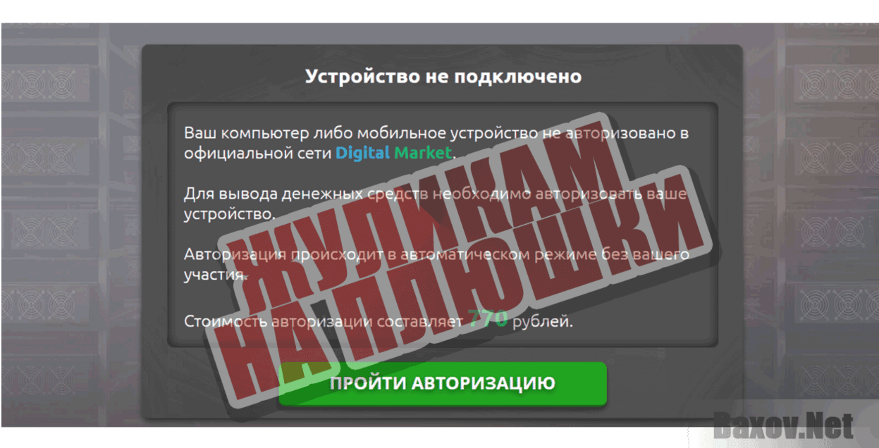 Digital Market Жуликам на плюшки