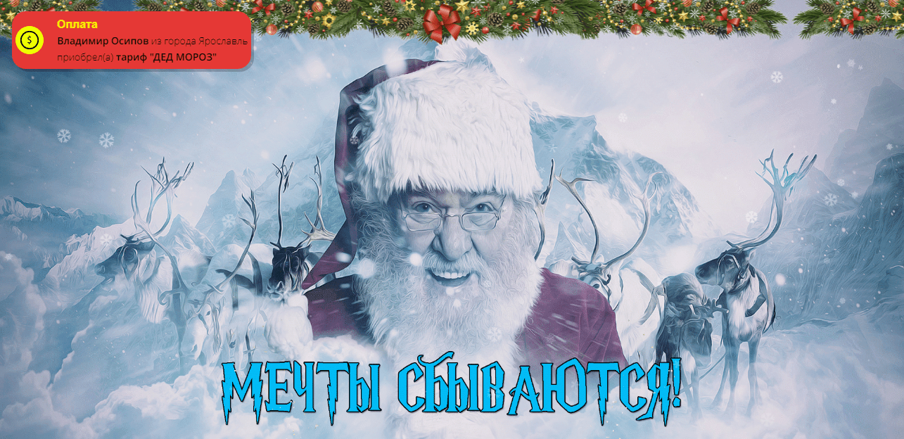 липовый курс от мошенников