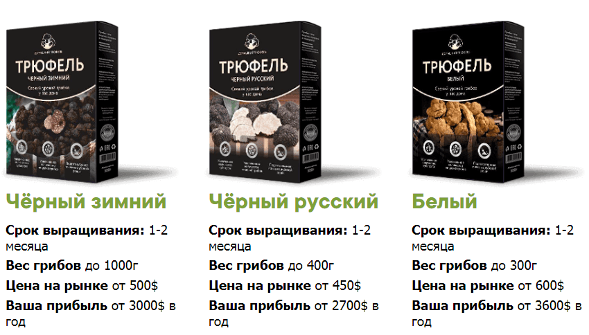 Трюфели дома - очередная ложь