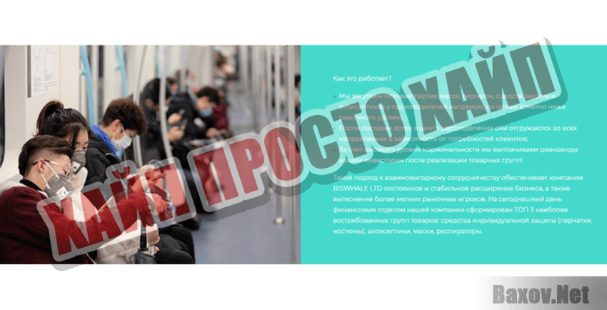 Biswhale LTD Хайп Просто хайп