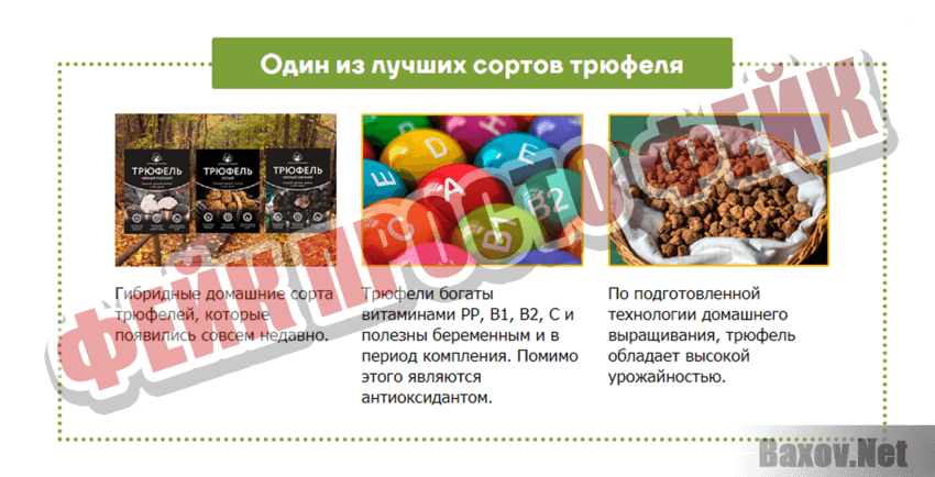 truffel.biogard-sad.ru Фейк Просто фейк
