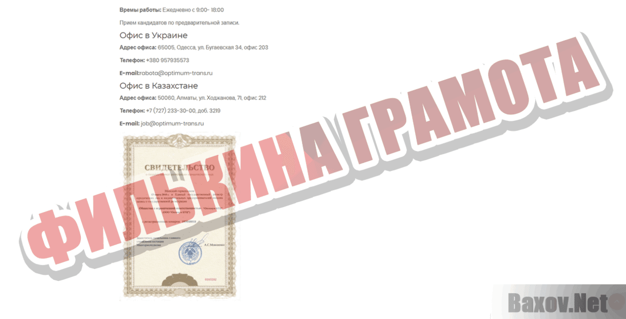 Optimum Translate Филькина грамота