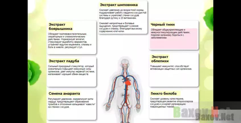 Артерио d2.arterio.ru