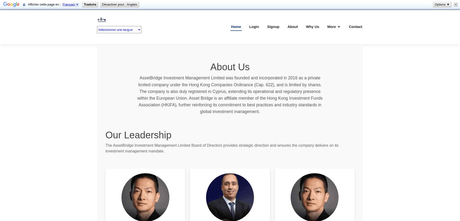 Screenshot for assetbridgegroup.com - 2