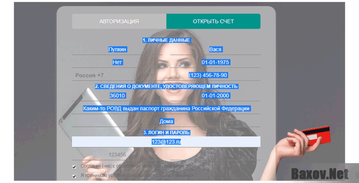 Caye Corporated Inc Регистрация