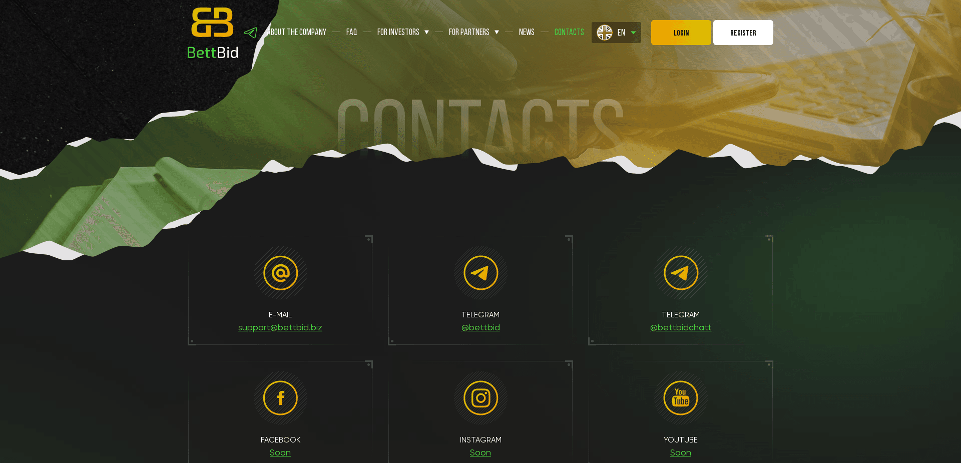 Screenshot for bettbid.biz - 1