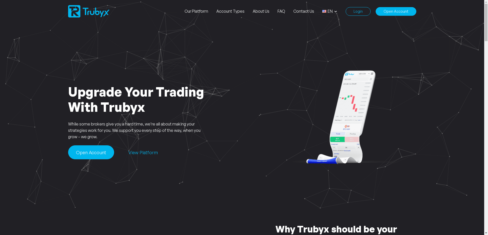 Trubyx отзывы и обзор. Развод, лохотрон или правда. Только честные и правдивые отзывы.