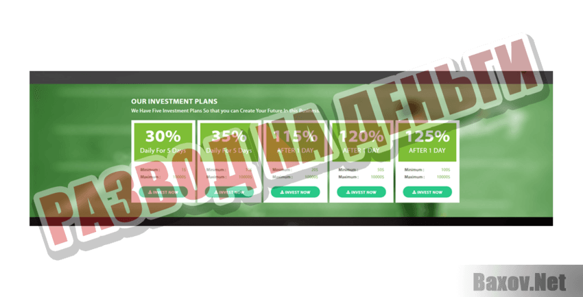 Makeinv Развод на деньги