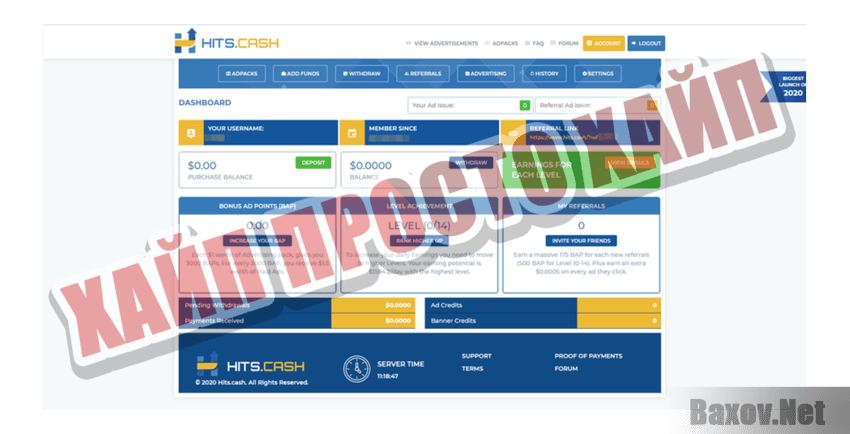 Hits Cash Хайп Просто хайп