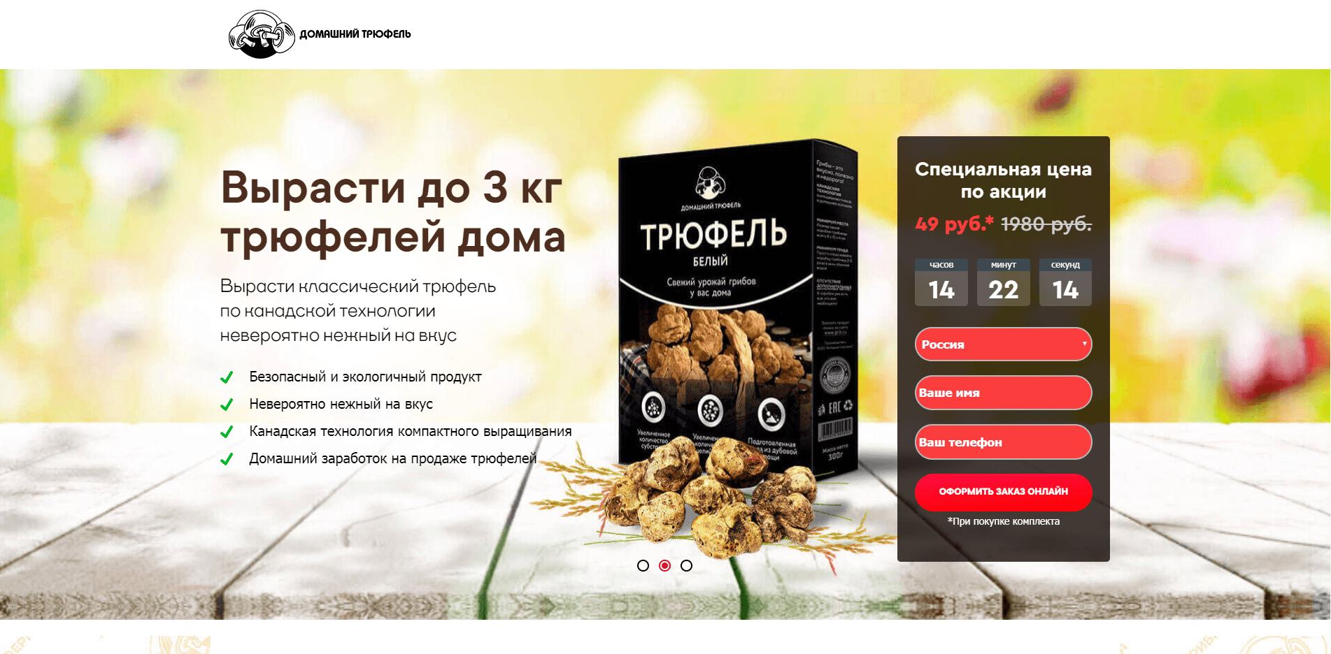 Домашние грибы