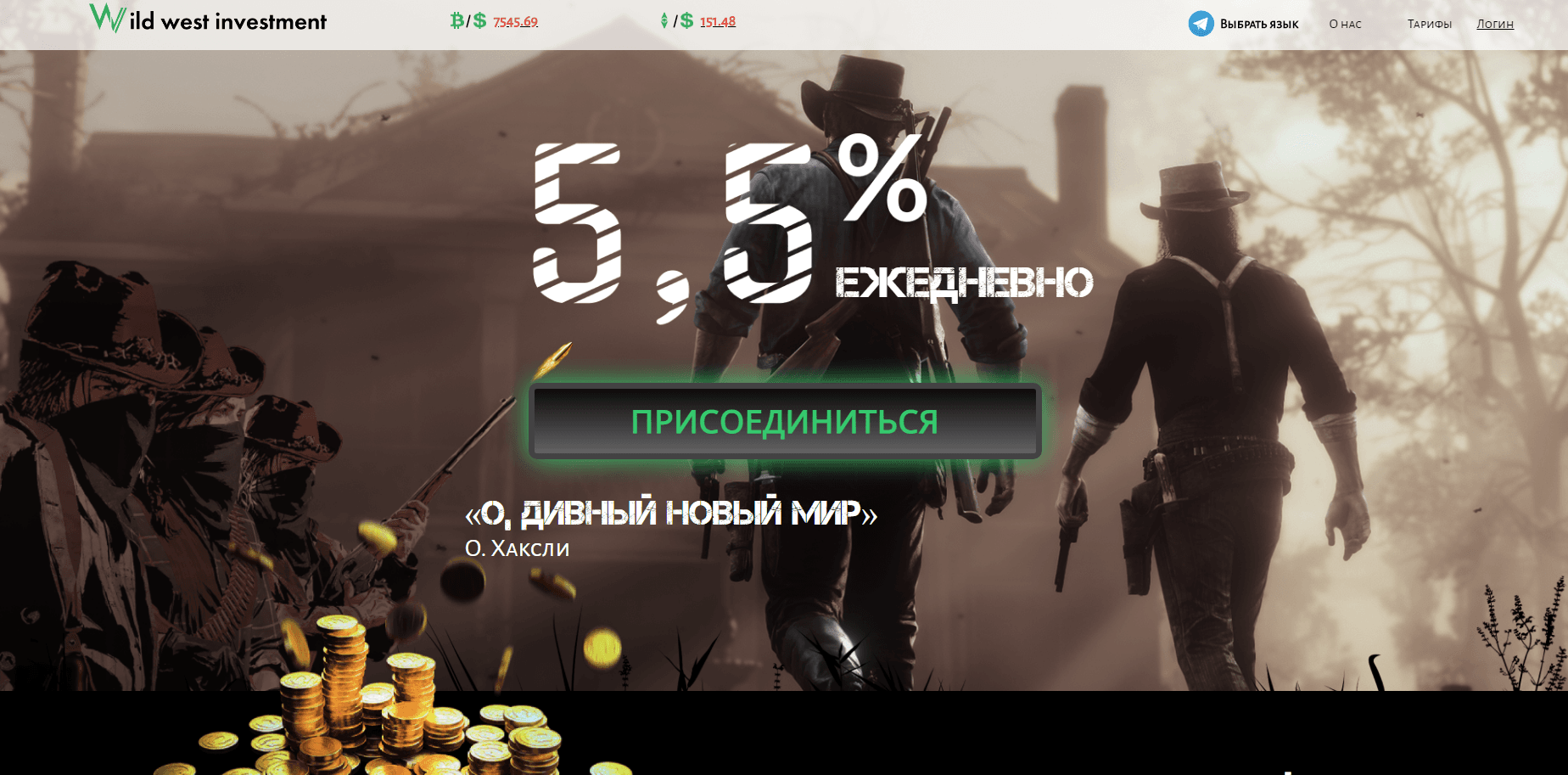 Wild west investment