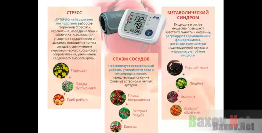 Артерио d.arterio.ru