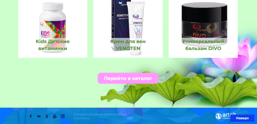 информация на сайте МЛМ проекта