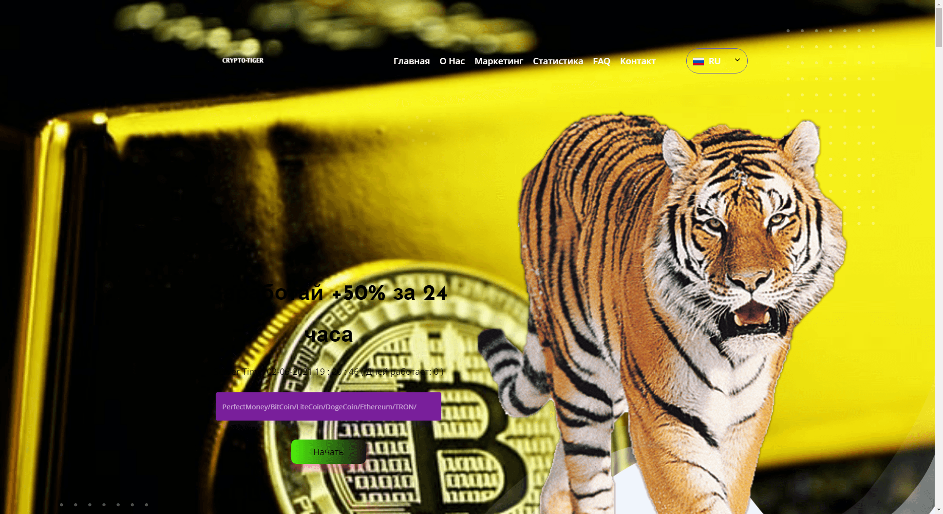 Crypto-Tiger отзывы и обзор. Развод, лохотрон или правда. Только честные и правдивые отзывы на Baxov.Net