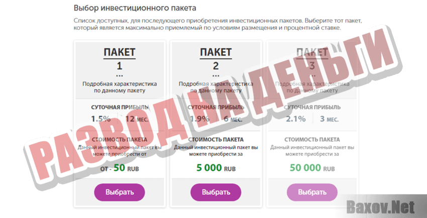 WebFlex24 Развод на деньги