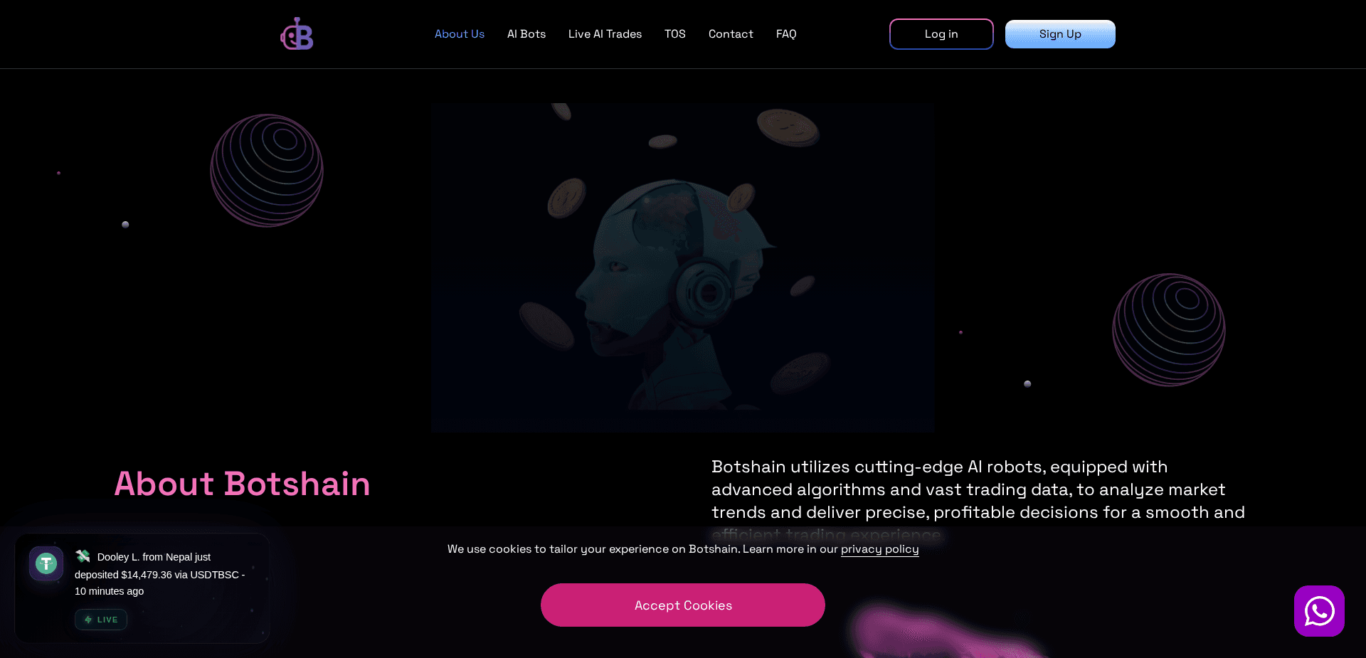 Website screenshot for https://botshain.com/ - 3