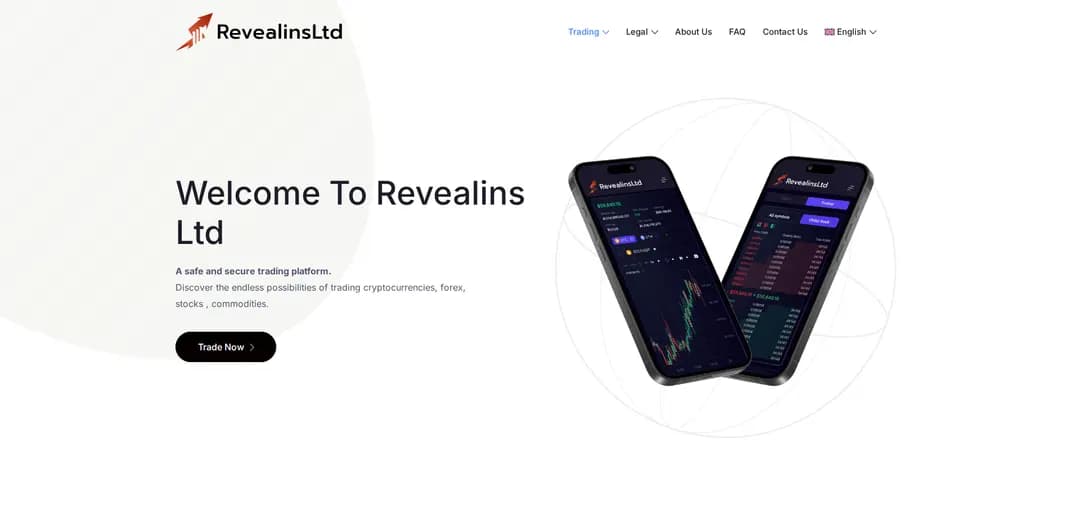 Revealins Ltd - обзор и отзывы проекта
