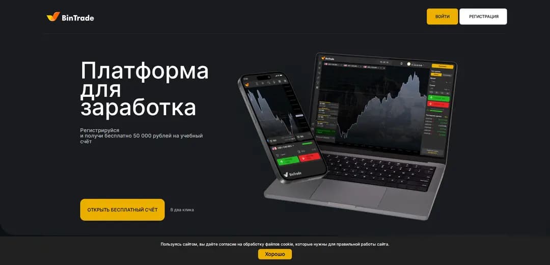 Честный обзор на проект BinTrade