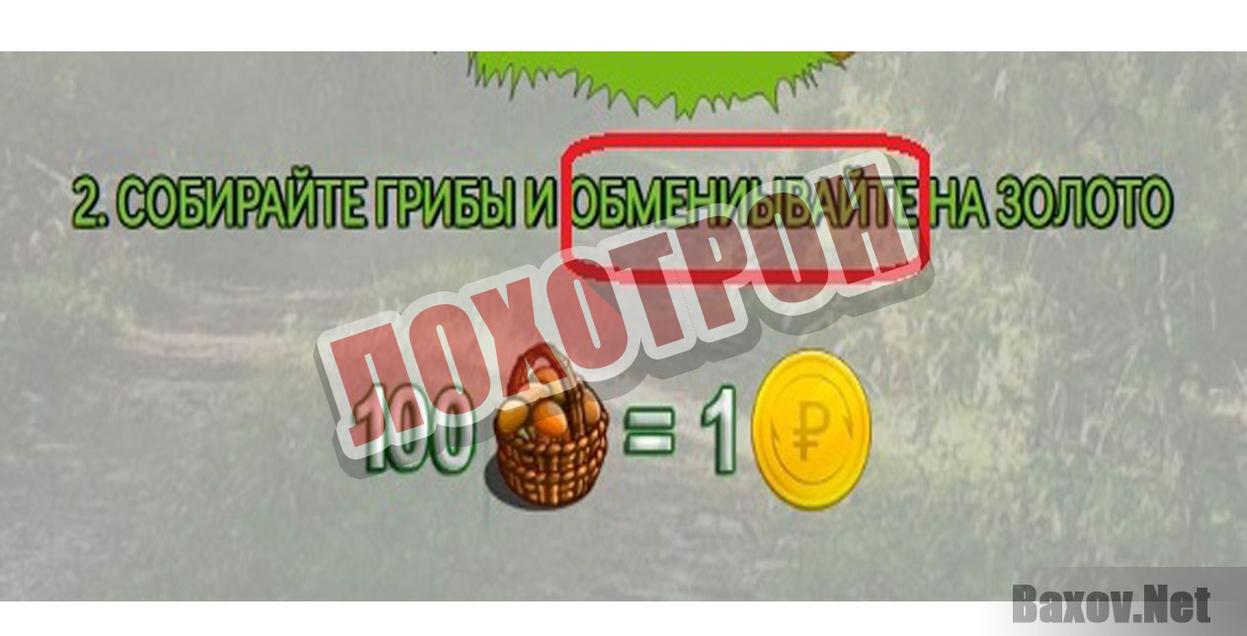 Mushroom Hunter Лохотрон