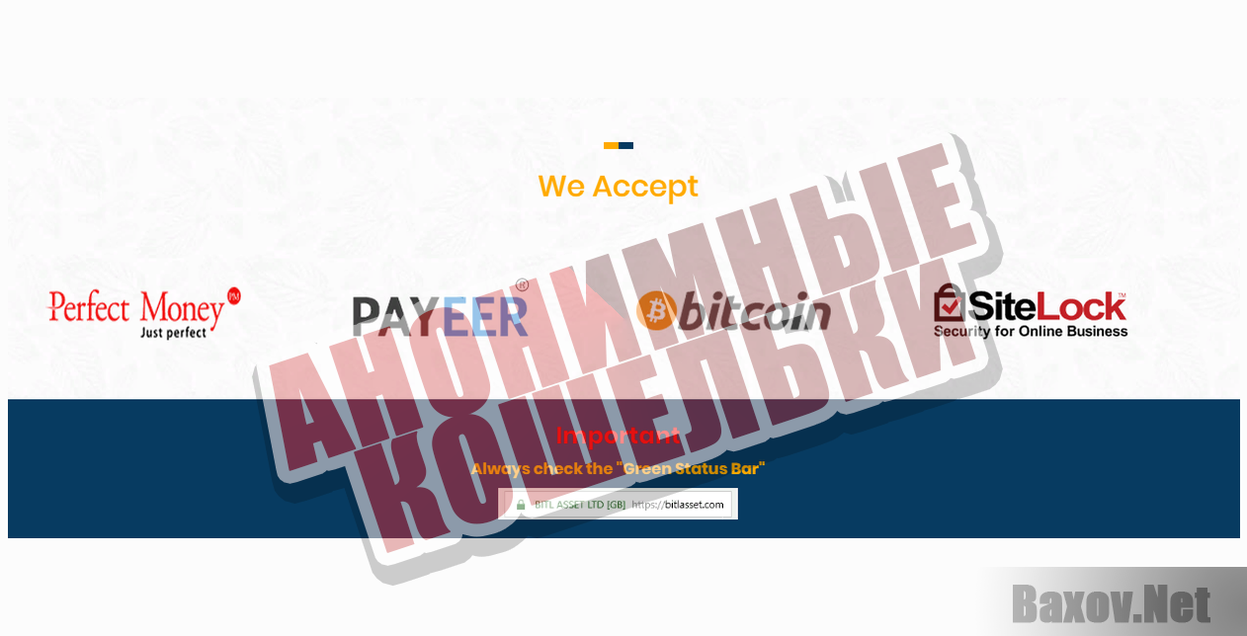 Bitl Asset Limited-АНОНИМНЫЕ КОШЕЛЬКИ
