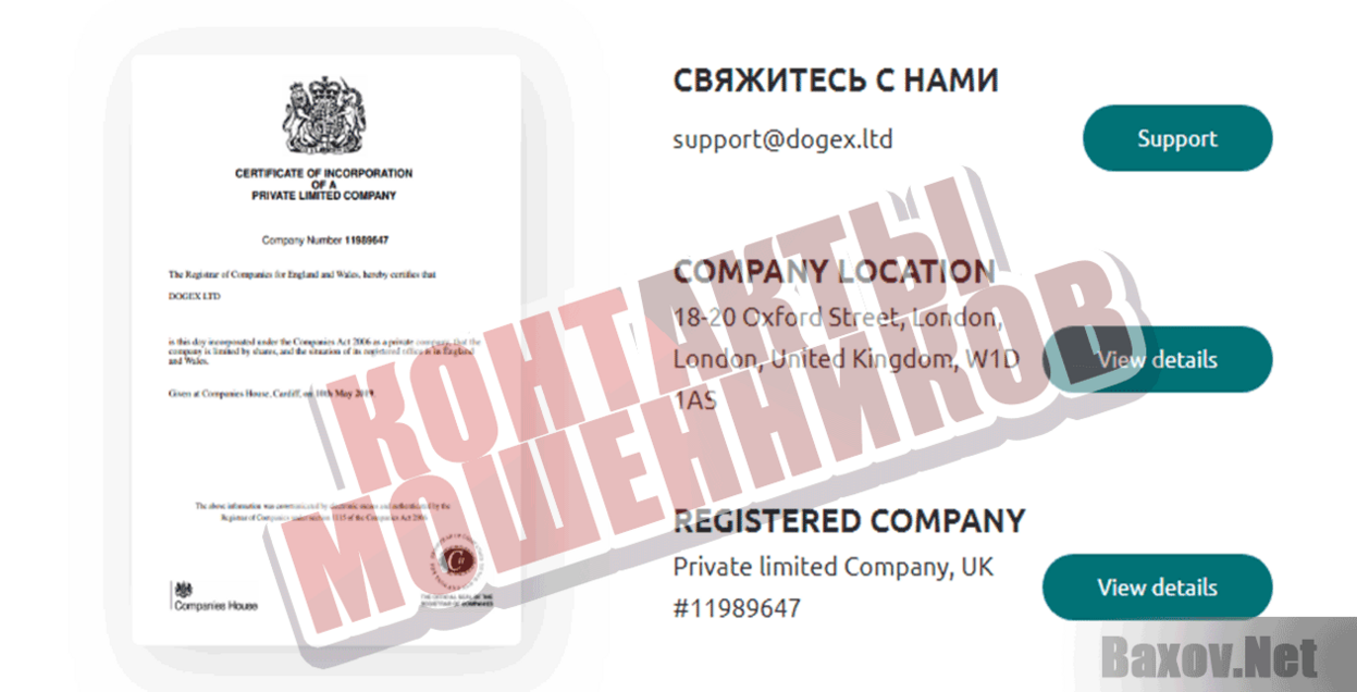 Dogex.ltd Контакты мошенников