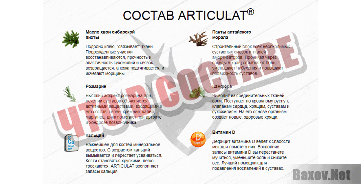 ARTICULATЧто в составе