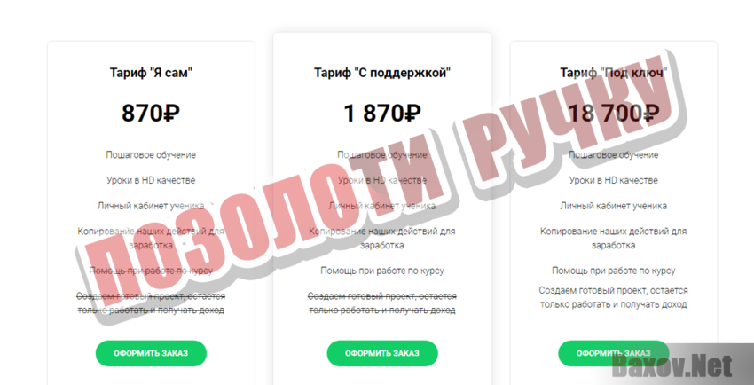 Доход от 100000₽ в месяц с профи Позолоти ручку