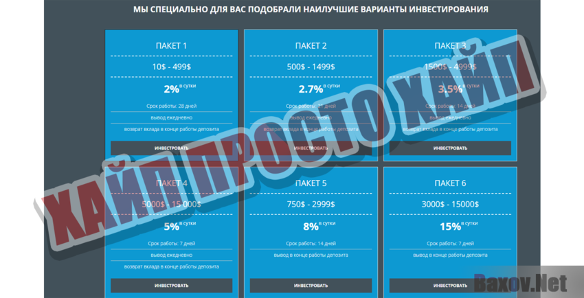 INSIGNIA GROUP Хайп Просто хайп