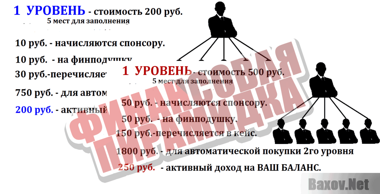 Твой бизнес Финансовая пирамида
