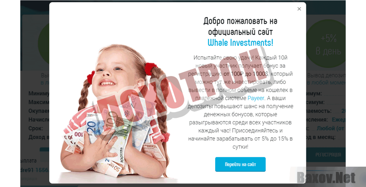 Фонд Whale Investments Лохотрон