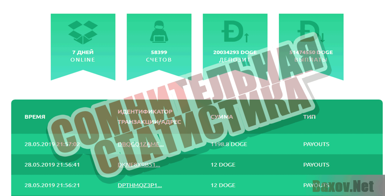 Dogex.ltd Сомнительная статистика