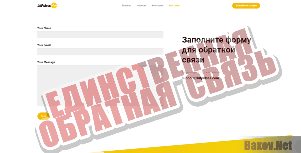 BitPulses Единственная обратная связь