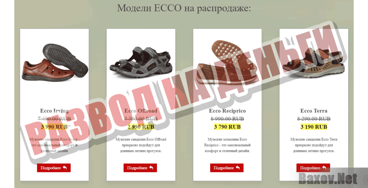 ECCO-NEW.RU Развод на деньги