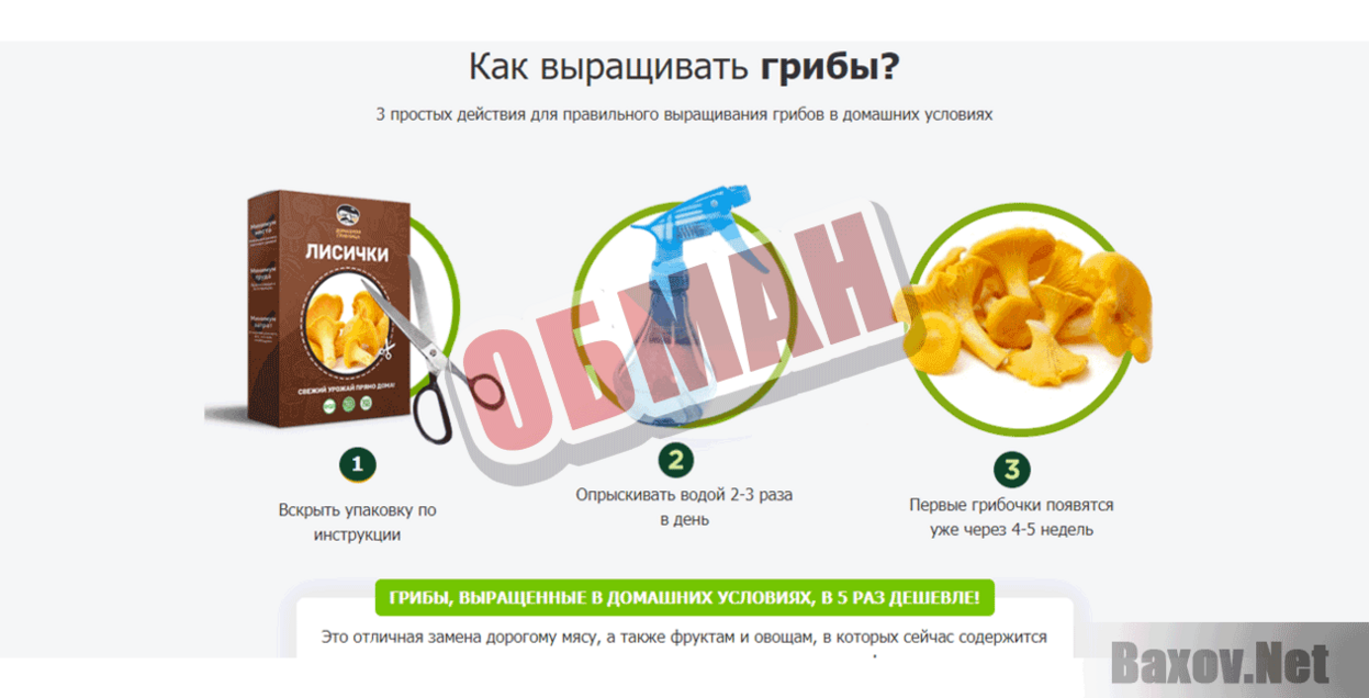 Домашняя грибница Обман