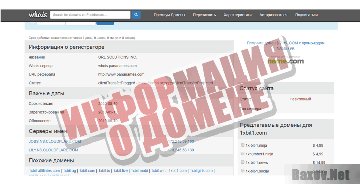 1xBit Информация о домене
