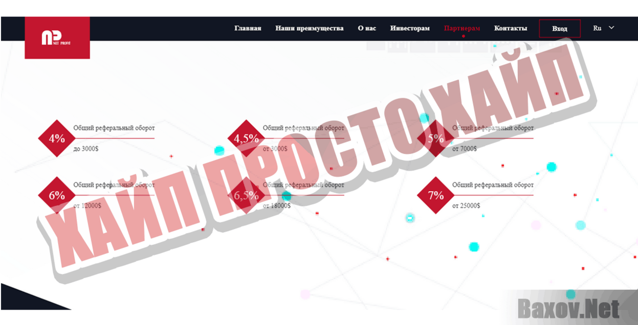 Net Profit Хайп Просто хайп