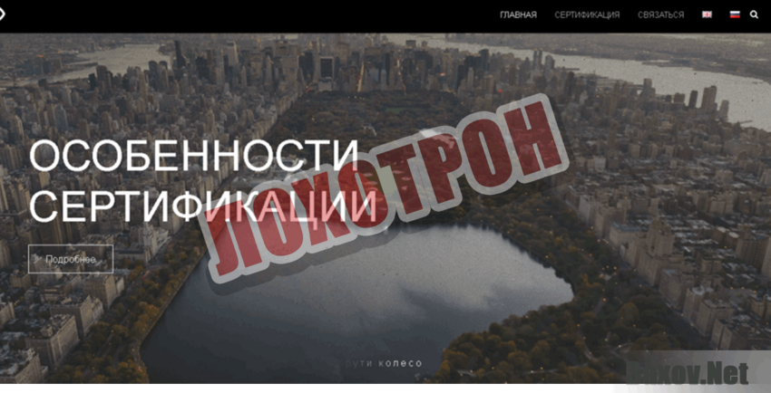 Born To Trade Лохотрон