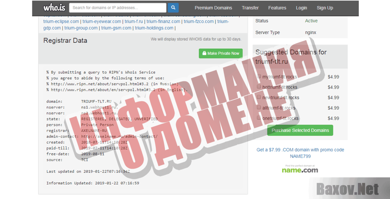 RealInvestMen Информация о домене