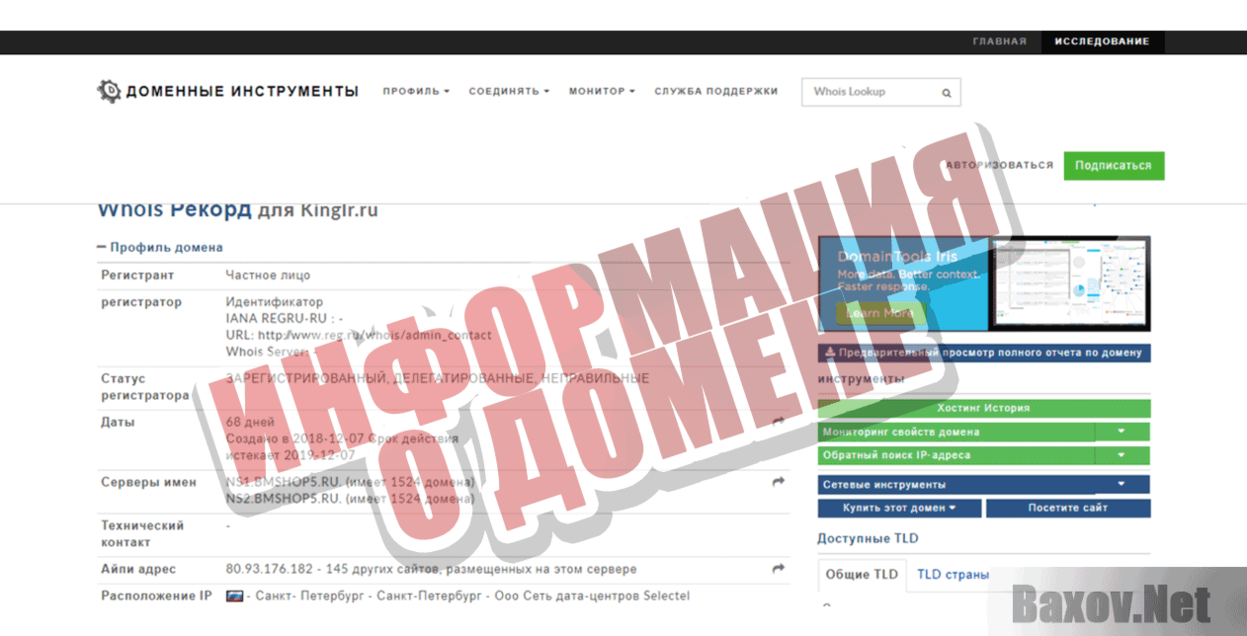 Kingir.ru Информация о домене