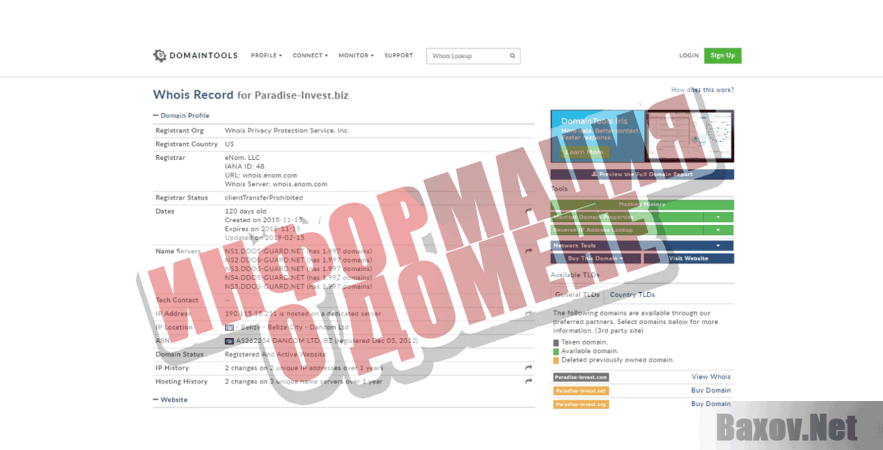 PARADISE INVEST Информация о домене