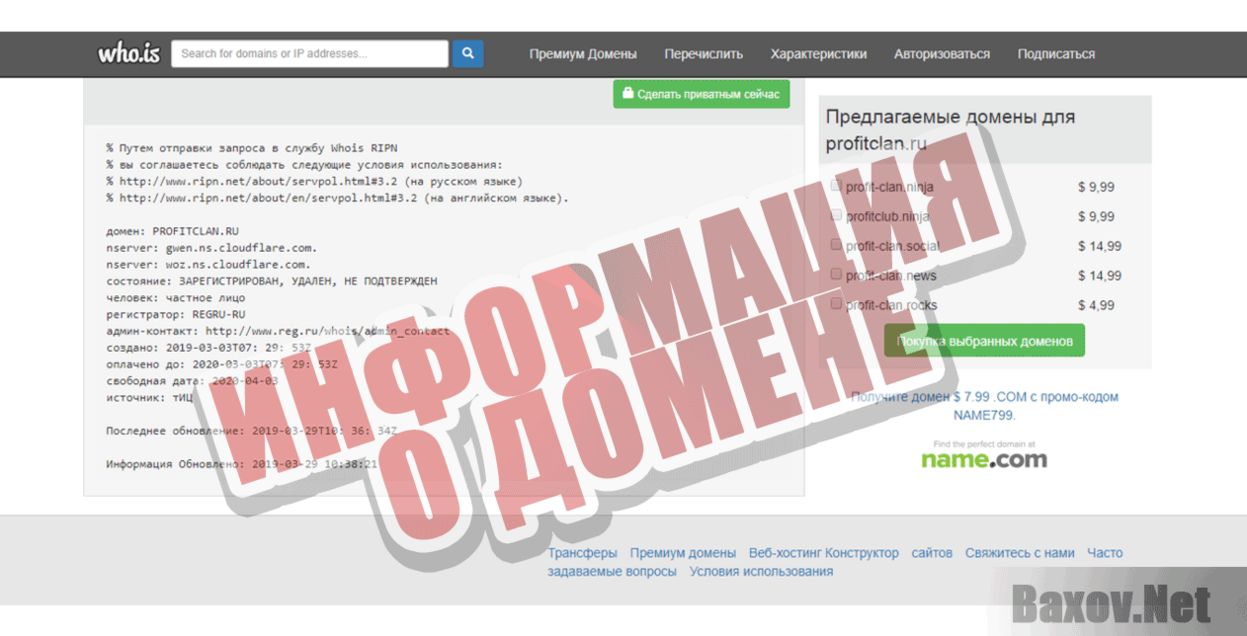 Profit Clan Информация о домене