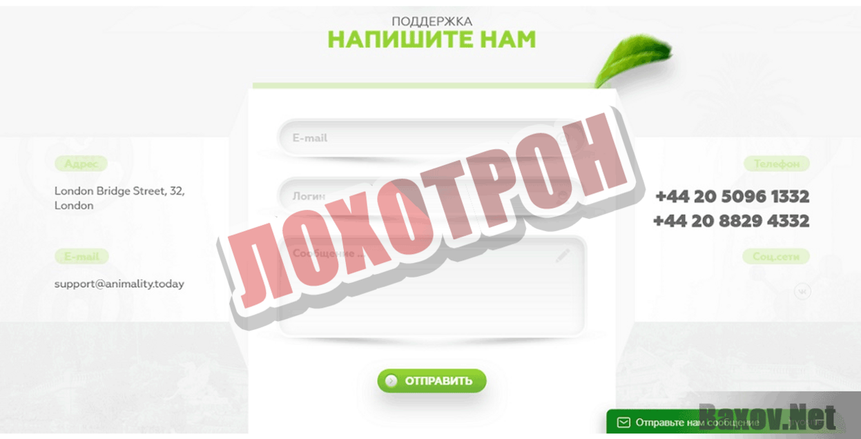 Animality Лохотрон