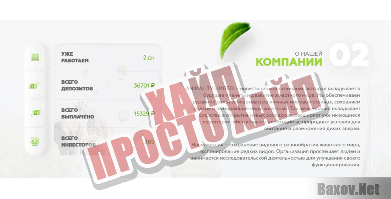 Animality Хайп Просто хайп