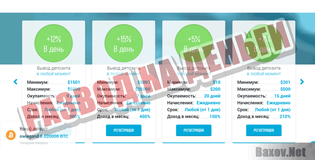 Фонд Whale Investments Развод на деньги