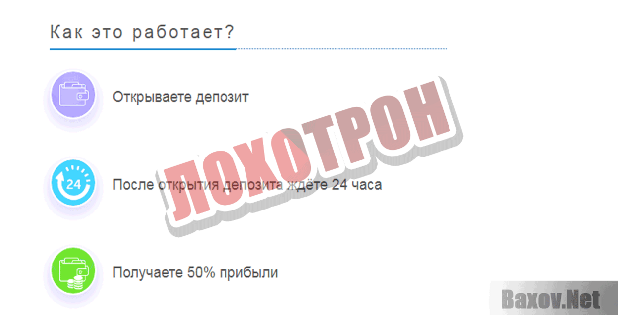 Qnegex Лохотрон