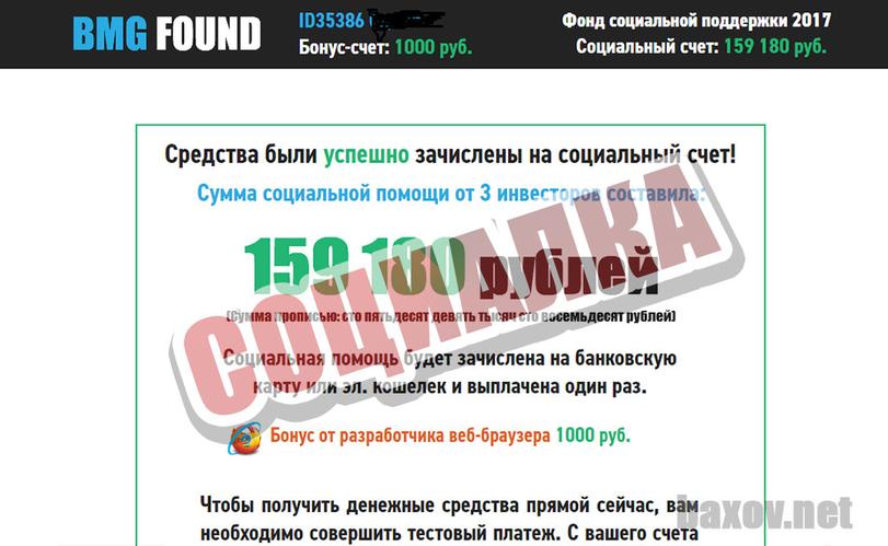 BMG FOUND / GATES INVEST социальная помощь