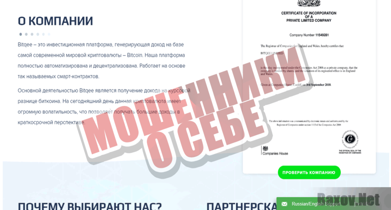 Bitqee Мошенники о себе