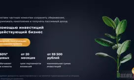 липовый инвестиционный проект от мошенников
