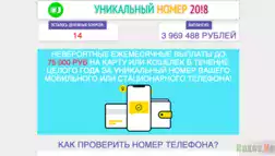 Уникальный номер 20!8 - Лохотрон