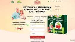 Бизнес на выращивании клубники - лохотрон